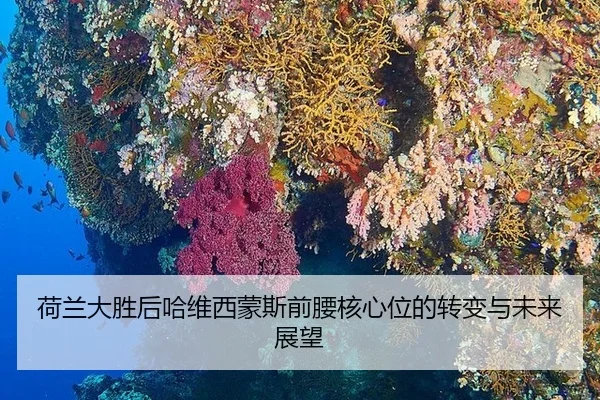 he-lan-da-sheng-hou-ha-wei-xi-meng-si-qian-yao-he-xin-wei-de-zhuan-bian-yu-wei-lai-zhan-wang-2-153.jpg