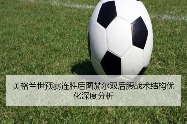 ying-ge-lan-shi-yu-sai-lian-sheng-hou-tu-he-er-shuang-hou-yao-zhan-shu-jie-gou-you-hua-shen-du-fen-xi-2-529.jpg